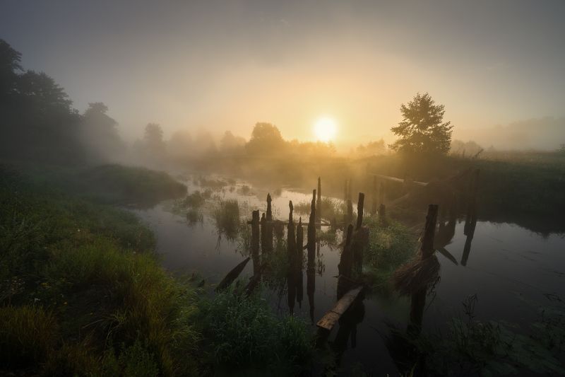 Остатки деревянного моста на Судогдеphoto preview