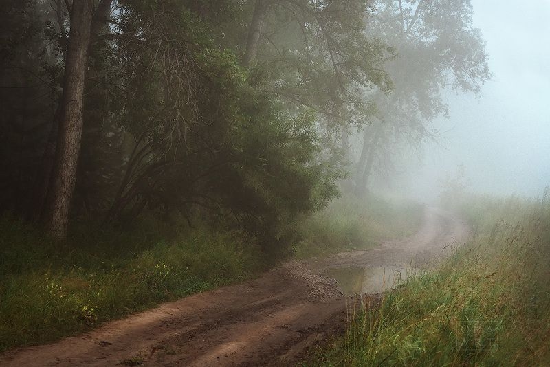 туман, лес, сибирь, август Синий туманphoto preview