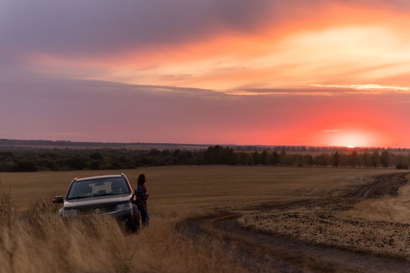 пейзаж, закат, лето, август, поле, дорога All fall down фото превью