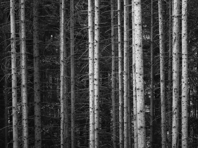 2020 фото превью