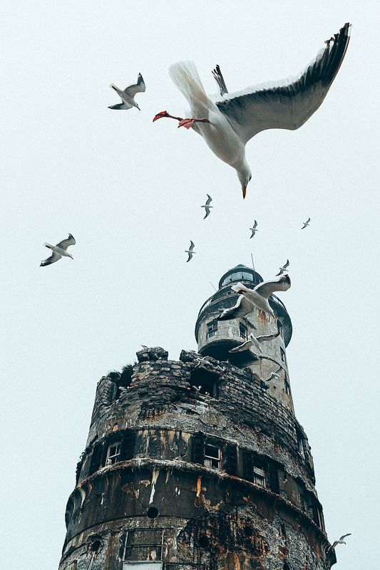 nikon, сахалин, анива, маяк Маяк Аниваphoto preview