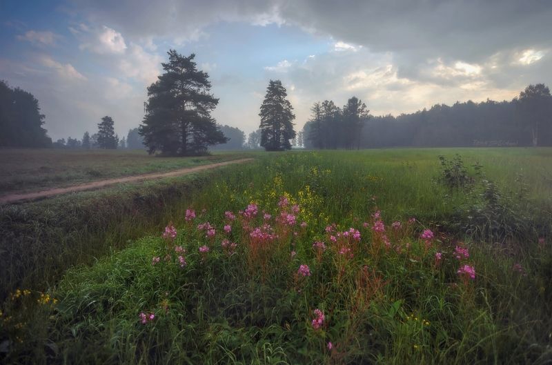 павловскийпарк, павловск. павловский Павловский. . .photo preview