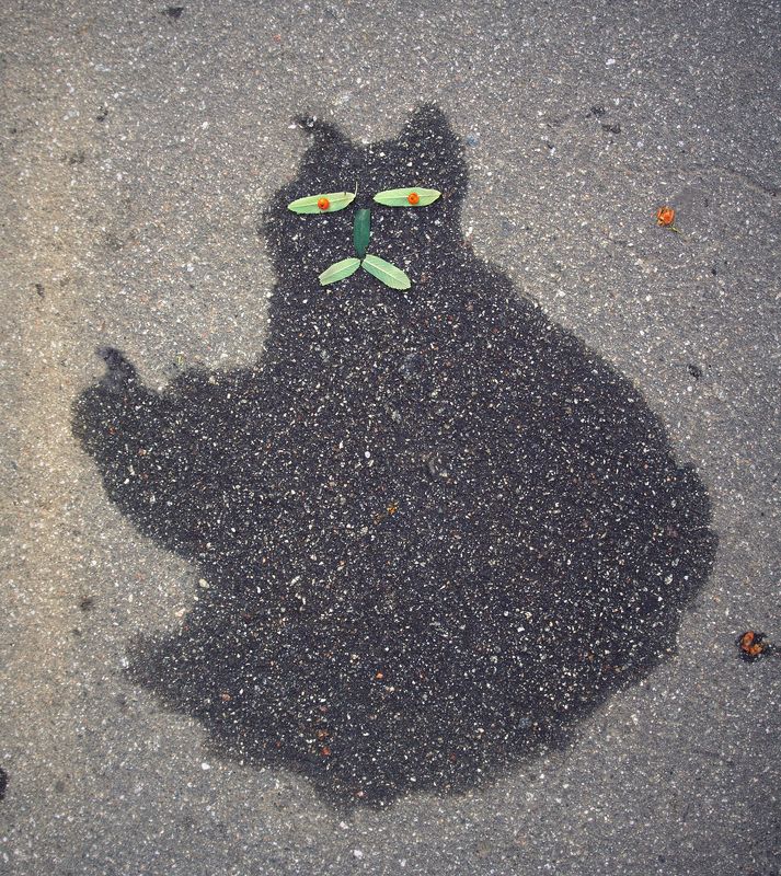 pareidolia Рябиновый котphoto preview