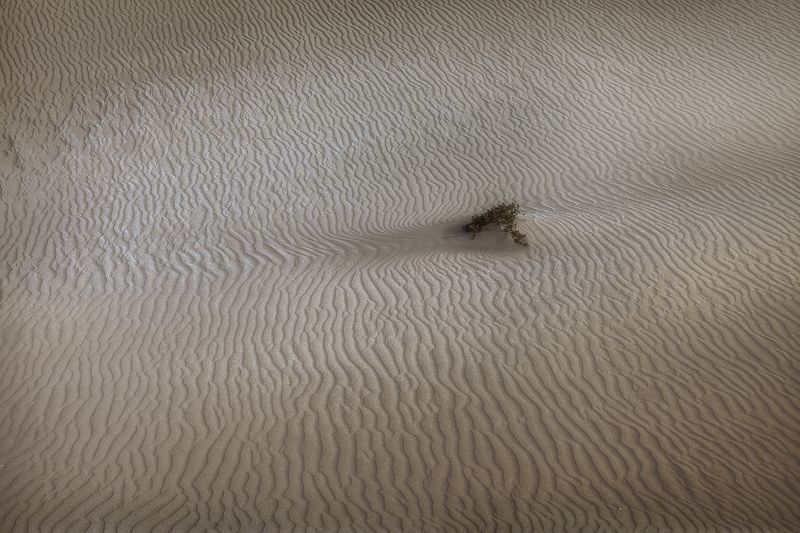 пустыня, марокко, путешествие, сахара, песок, лето, пейзаж Фактура пустыниphoto preview