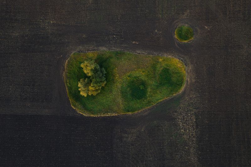 бактерия photo preview