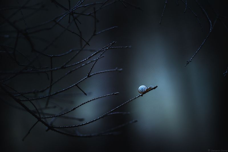 адвайта, духовный поиск, самоисследование, пробуждение, просветление, нисаргадатта махарадж, Тёмный ретритphoto preview