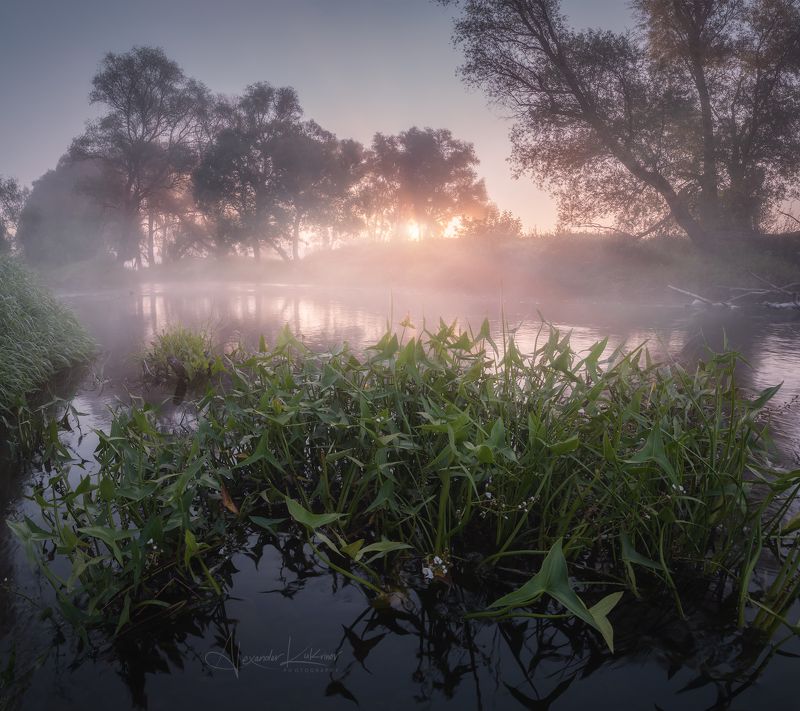 угра,утро,пейзаж,рассвет,лето,туман,солнце,лучи Новое утро августа...photo preview