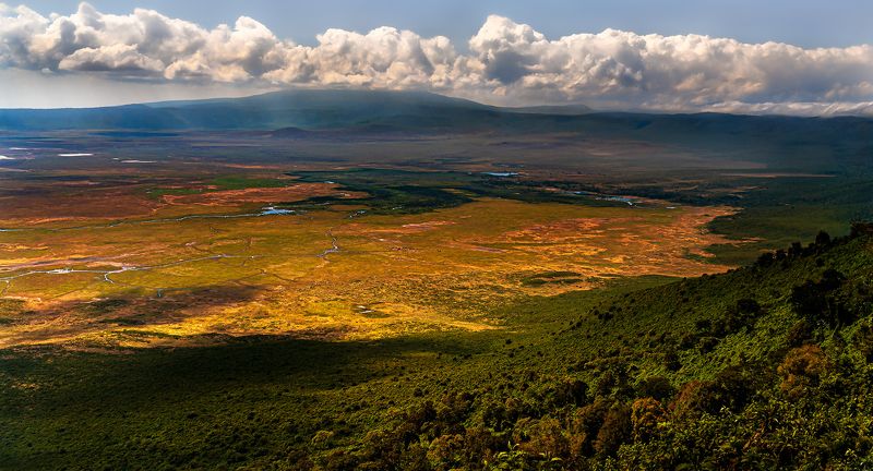 NGORONGOROphoto preview