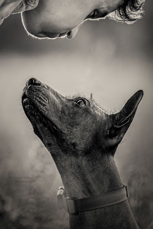 Притяжениеphoto preview