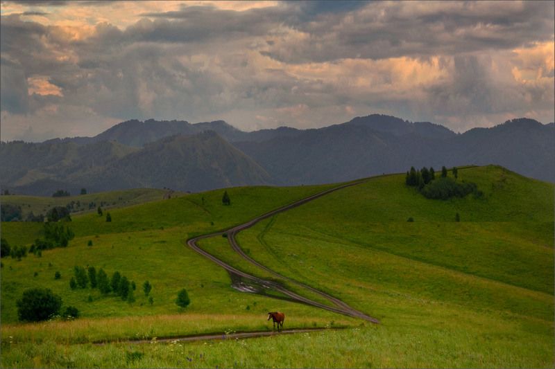Пейзаж По дорогам Алтая Красивые места По дорогам Алтаяphoto preview