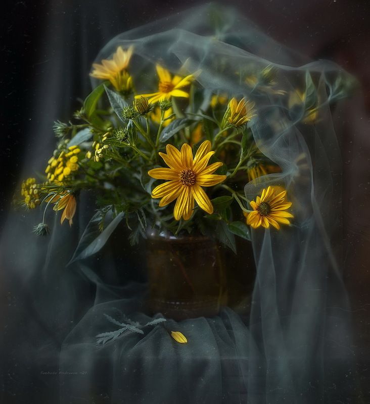 солнышки*photo preview