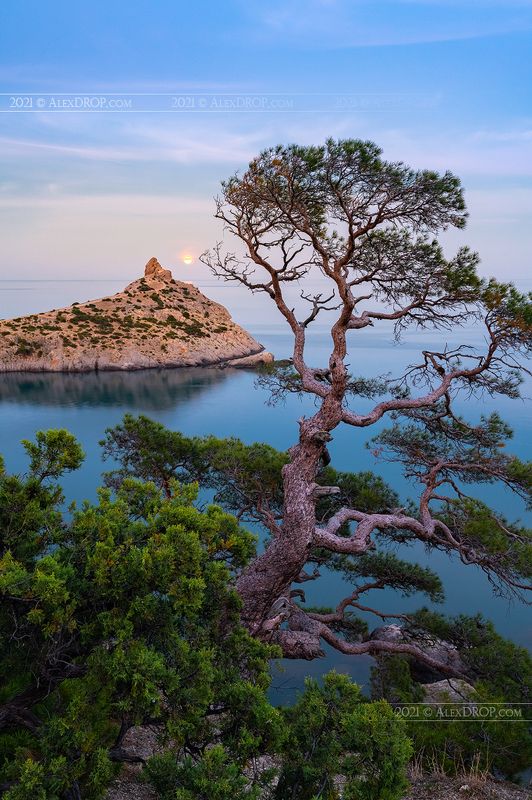 Восход Луны над мысом Капчик / Moonrise over the Cape Kapchikphoto preview