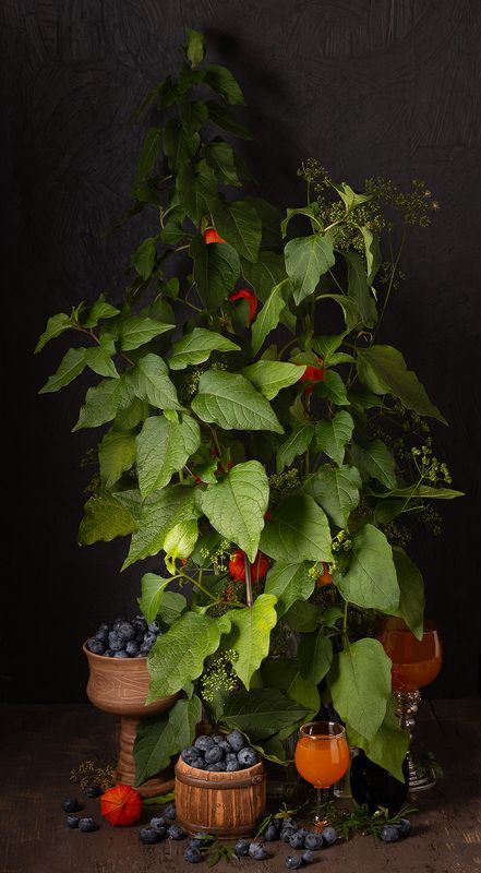 Физалис и голубикаphoto preview