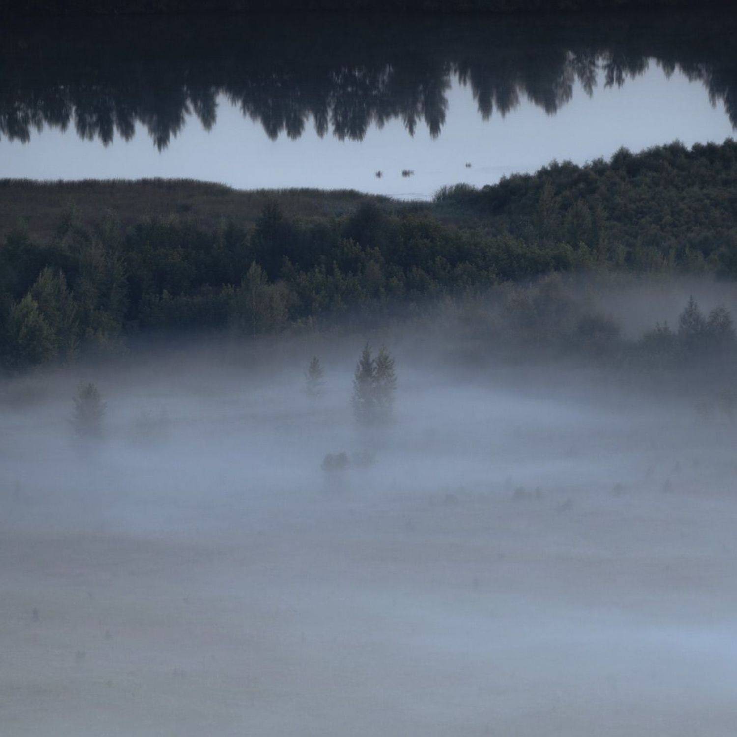 , Эдуард Галеев