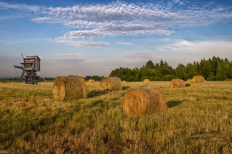 огодская обл., семёнково, деревянное зодчество Сенокосная пораphoto preview