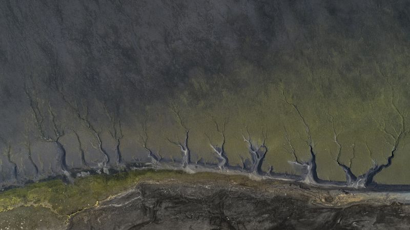 аэрофотосъёмка,пейзаж,река,абстракция Magic forestphoto preview