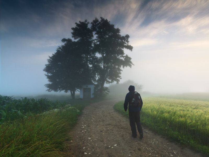 польша, лето,  туман, утро, poland, field, summer, wanderer, tranquility, solitary, outdoor, lesser poland, chapel, heritage, europe, mist, fog, quiet, calm, shrine, meadow, mood, tree, rural, plain, sky, alone, road ***photo preview