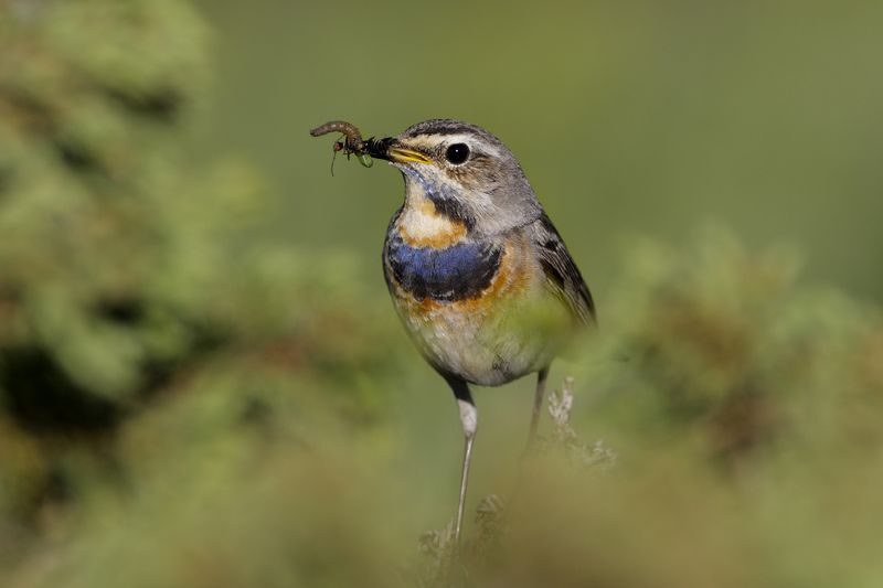 \\варакphoto preview