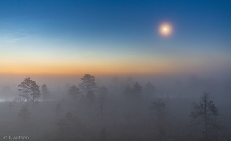 пейзаж, природа, ночь, болото, эстония В туманной тишинеphoto preview