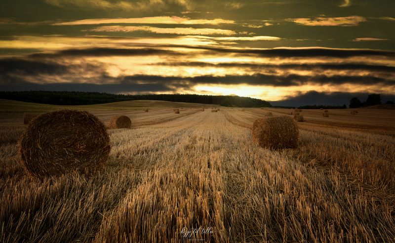 hay bales  landscape  field  agriculture  sky  sunset  clouds  light  Nikon D750  forest  No People  Landscape - Scenery  Nature  Agriculture  Sunset on the fieldphoto preview