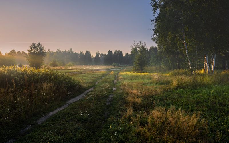 луг, лето, , август, туман, утро, рассвет Первый лучphoto preview