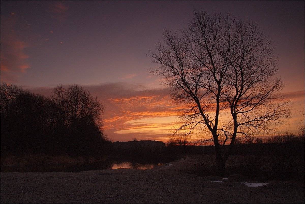 на заре. Автор: Николай Шахманцир , Николай Шахманцир