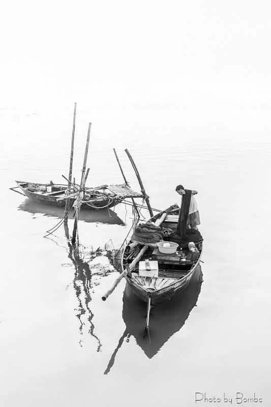 Net collectionphoto preview