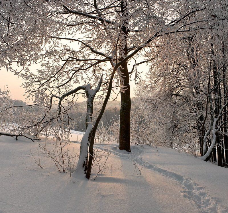 Распушились деревья инеем...photo preview