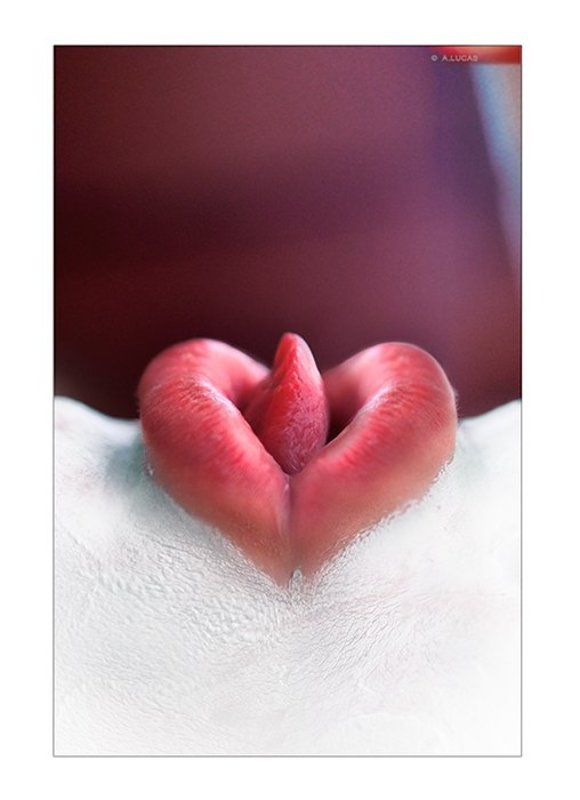 lucas, lucastudio, nude mousetrap фото превью