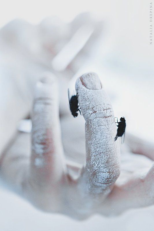 For wounded hearts where winter comes.photo preview