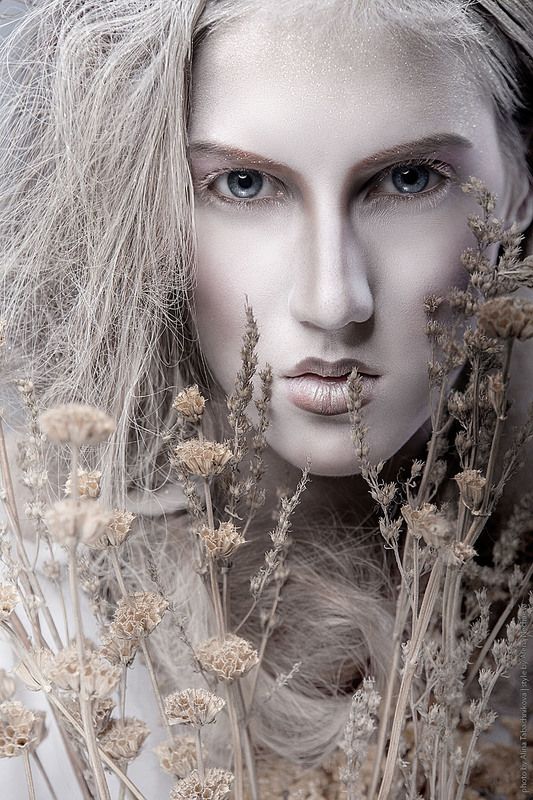 дыхание зимыphoto preview