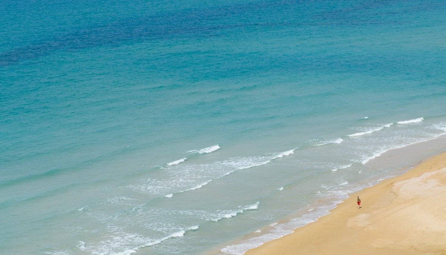 , Andrey Zolotnitsyn