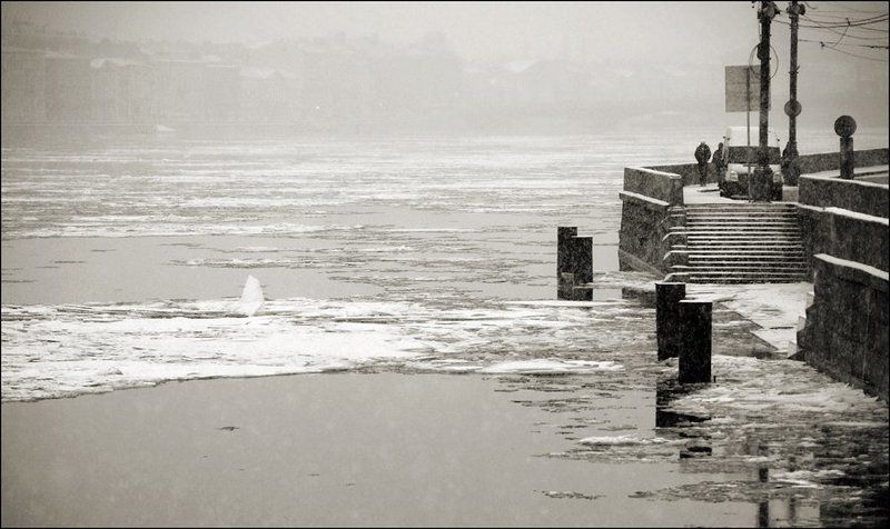Город, Городской пейзаж, Зима, Санкт-петербург, Снег, Университетская набережная снежный день на Университетской набережной фото превью