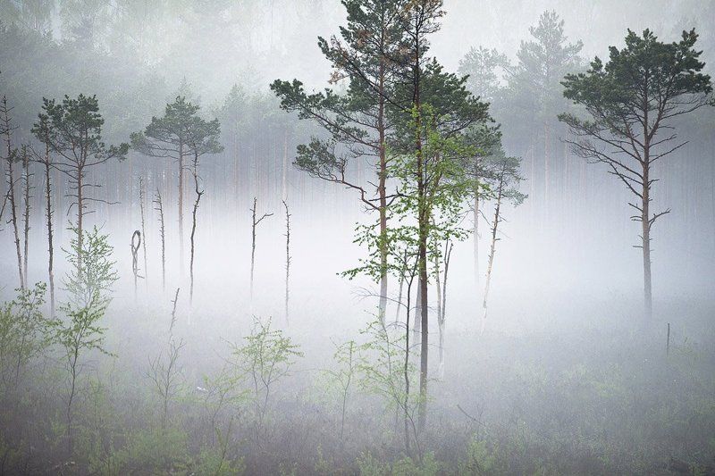 Tишинаphoto preview