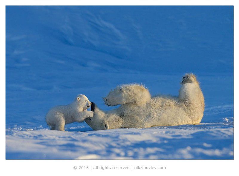 Завалил !photo preview