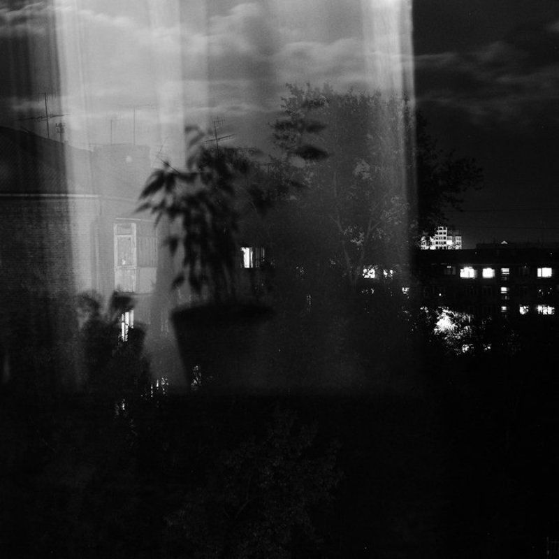 Облака, Окно, Фикус Фикусphoto preview