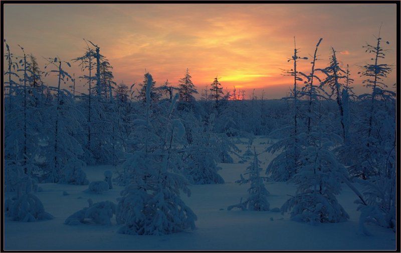 Зимний вечер в Приполярьеphoto preview