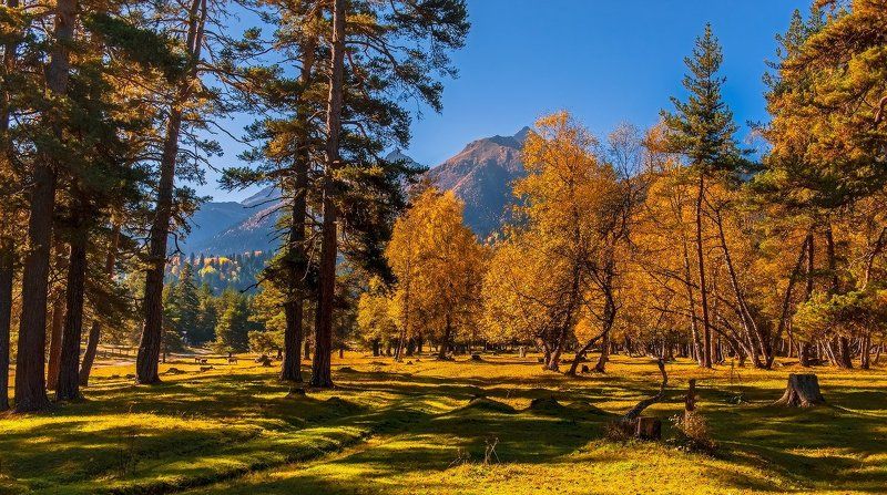 Архыз. Осенняя палитраphoto preview