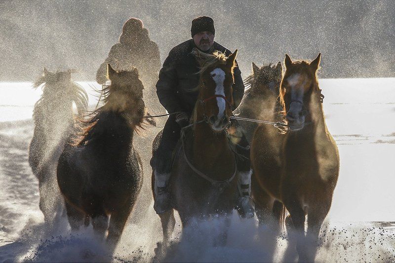 HAPPY NEW YEAR ! (YEAR OF THE HORSE)photo preview