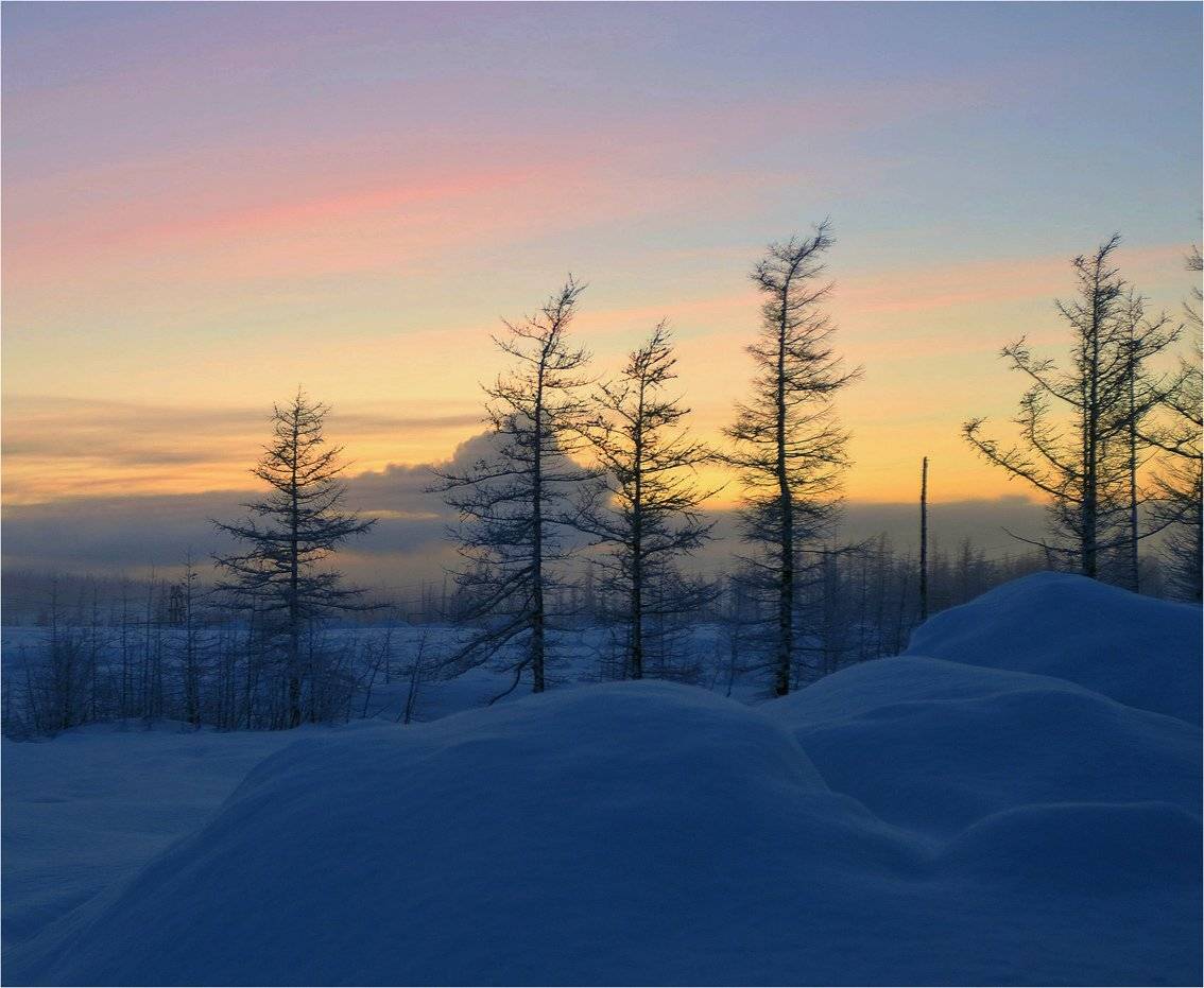 С наступающим Новым годом,друзья!. Автор: Владимир таймыр, Владимир