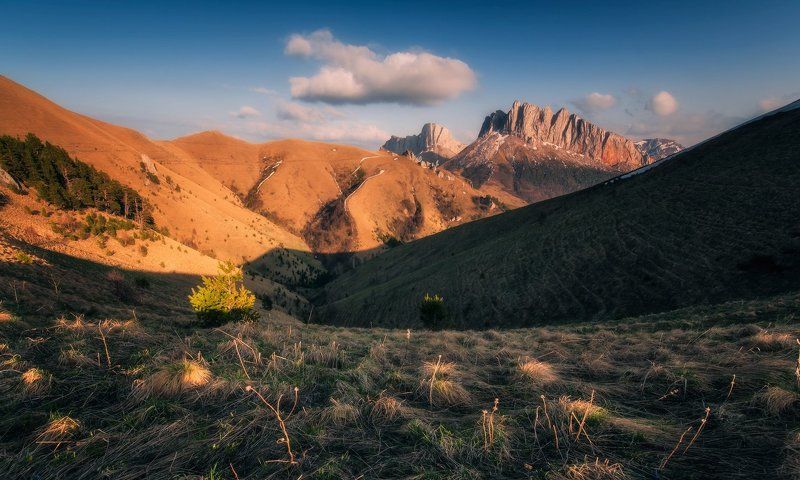 Из Майских похожденийphoto preview