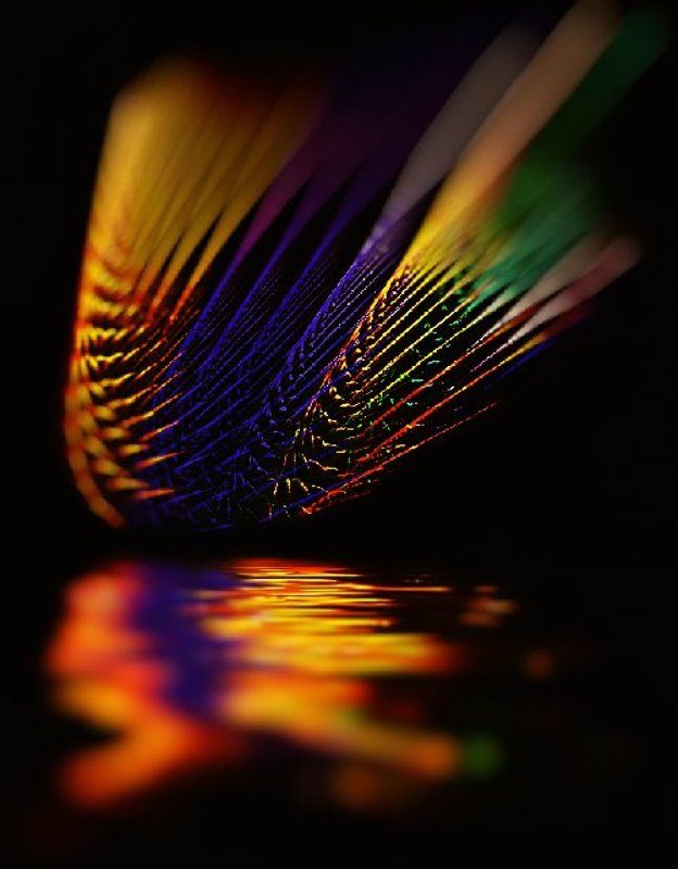 wake,art,concept, Andreas Vollenweiderphoto preview