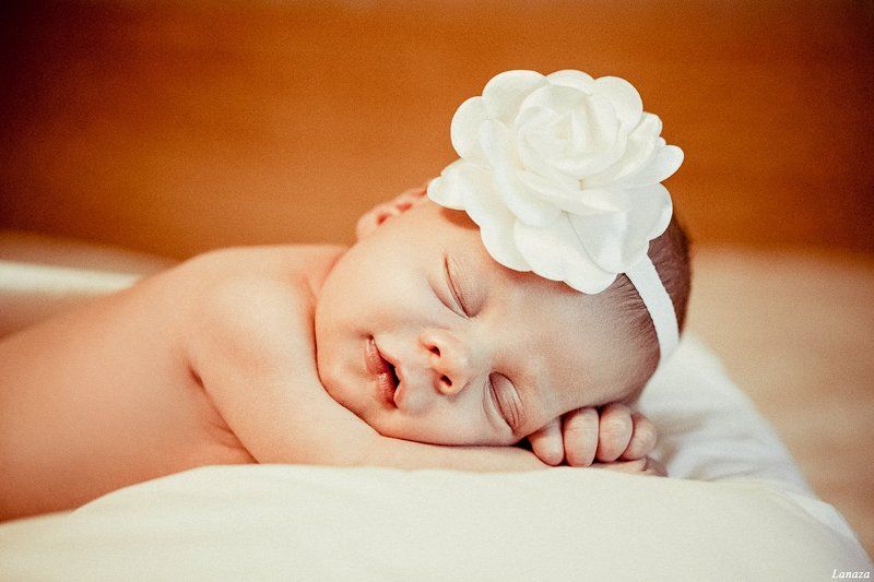 Спящая красавицаphoto preview