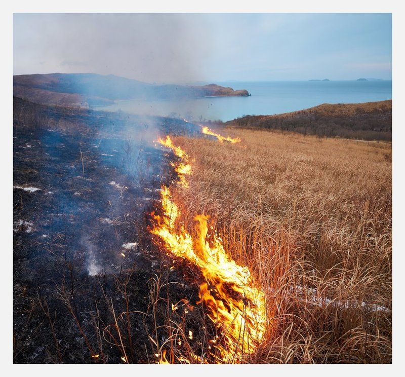 празднование 2014photo preview