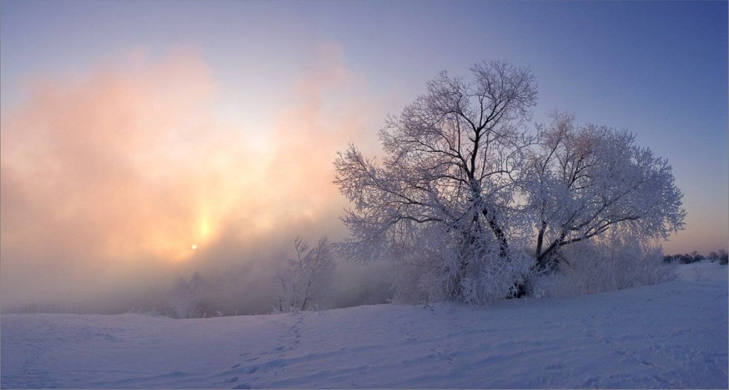 Мороз и солнце. Автор: OFFСАЙТ , OFFСАЙТ