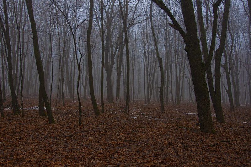 Зимний туманphoto preview