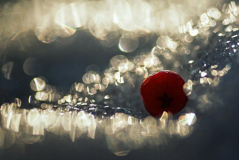 Замерзшая во льдуphoto preview