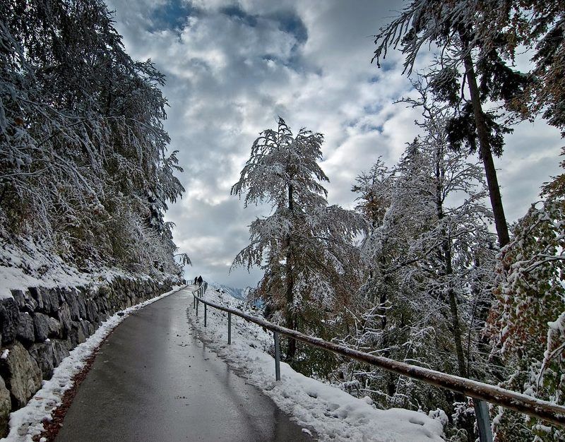 Осень в Альпахphoto preview