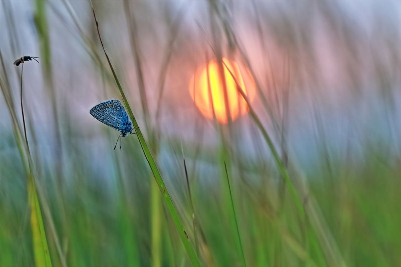 Эй! Подъем!!!photo preview