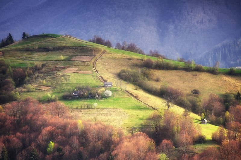 весна, карпаты, горы Хутор с одуванчикомphoto preview